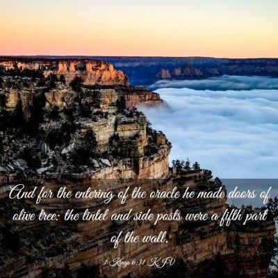 Picture 03 - 1 Kings 6:31 KJV - And for the entering of the oracle he made doors - Bible Verse Picture