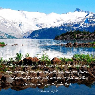 Picture 03 - 1 Kings 6:32 KJV - The two doors also were of olive tree; and he - Bible Verse Picture