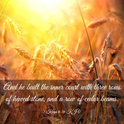 Picture 03 - 1 Kings 6:36 KJV - And he built the inner court with three rows of - Bible Verse Picture
