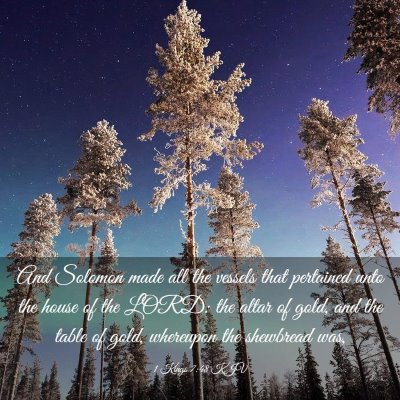 Picture 03 - 1 Kings 7:48 KJV - And Solomon made all the vessels that pertained - Bible Verse Picture