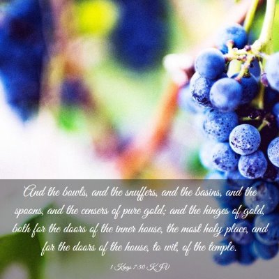 Picture 03 - 1 Kings 7:50 KJV - And the bowls, and the snuffers, and the basins, - Bible Verse Picture