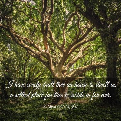 Picture 03 - 1 Kings 8:13 KJV - I have surely built thee an house to dwell in, a - Bible Verse Picture