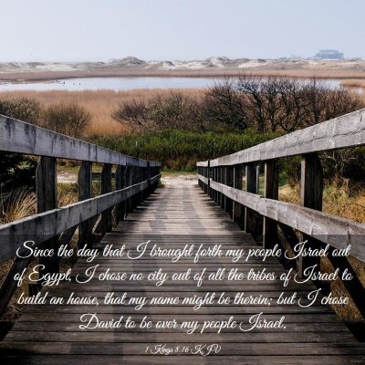 Picture 03 - 1 Kings 8:16 KJV - Since the day that I brought forth my people - Bible Verse Picture