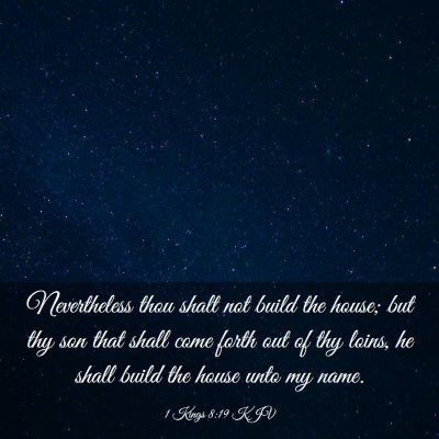 Picture 03 - 1 Kings 8:19 KJV - Nevertheless thou shalt not build the house; but - Bible Verse Picture