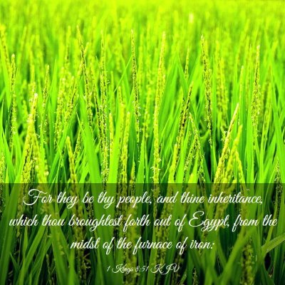 Picture 03 - 1 Kings 8:51 KJV - For they be thy people, and thine inheritance, - Bible Verse Picture