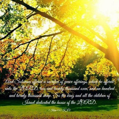 Picture 03 - 1 Kings 8:63 KJV - And Solomon offered a sacrifice of peace - Bible Verse Picture