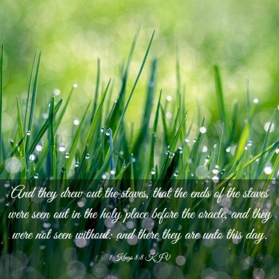 Picture 03 - 1 Kings 8:8 KJV - And they drew out the staves, that the ends of - Bible Verse Picture