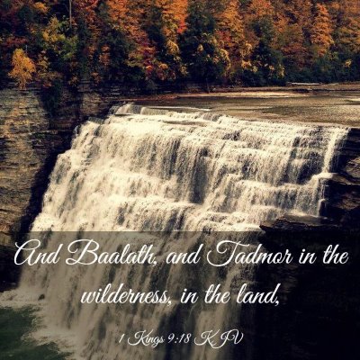Picture 03 - 1 Kings 9:18 KJV - And Baalath, and Tadmor in the wilderness, in the - Bible Verse Picture