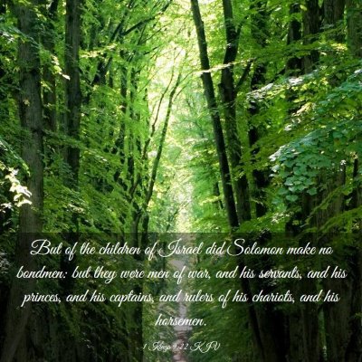 Picture 03 - 1 Kings 9:22 KJV - But of the children of Israel did Solomon make no - Bible Verse Picture