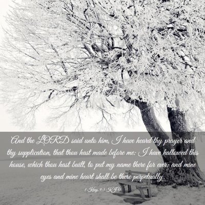 Picture 03 - 1 Kings 9:3 KJV - And the LORD said unto him, I have heard thy - Bible Verse Picture