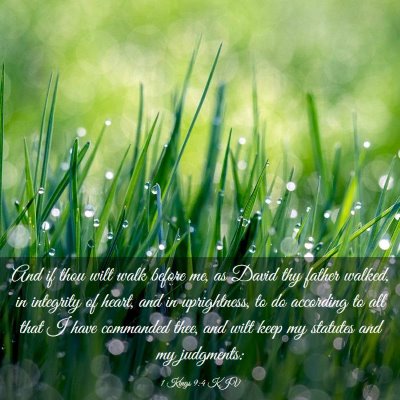 Picture 03 - 1 Kings 9:4 KJV - And if thou wilt walk before me, as David thy - Bible Verse Picture