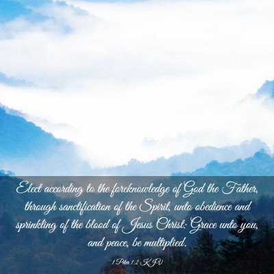 Picture 03 - 1 Peter 1:2 KJV - Elect according to the foreknowledge of God the - Bible Verse Picture
