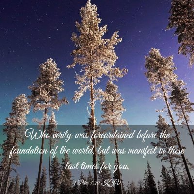 Picture 03 - 1 Peter 1:20 KJV - Who verily was foreordained before the foundation - Bible Verse Picture