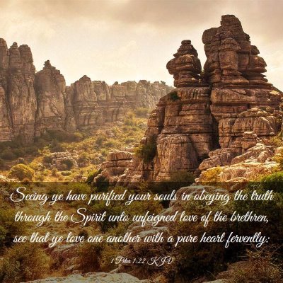 Picture 03 - 1 Peter 1:22 KJV - Seeing ye have purified your souls in obeying the - Bible Verse Picture