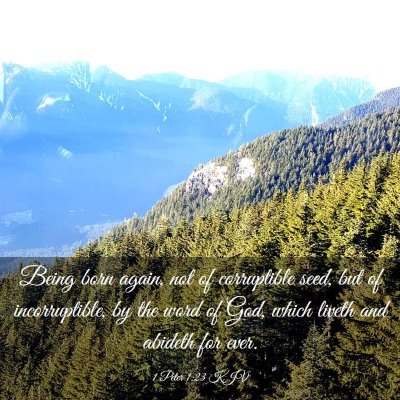 Picture 03 - 1 Peter 1:23 KJV - Being born again, not of corruptible seed, but of - Bible Verse Picture