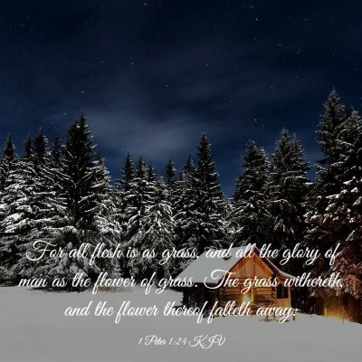 Picture 03 - 1 Peter 1:24 KJV - For all flesh is as grass, and all the glory of - Bible Verse Picture