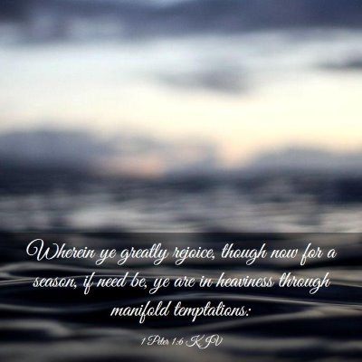 Picture 03 - 1 Peter 1:6 KJV - Wherein ye greatly rejoice, though now for a - Bible Verse Picture