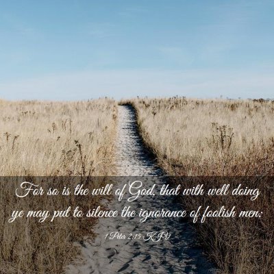 Picture 03 - 1 Peter 2:15 KJV - For so is the will of God, that with well doing - Bible Verse Picture