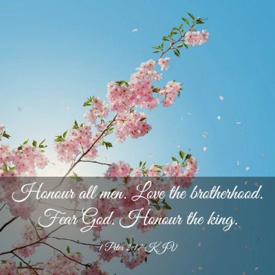 Picture 03 - 1 Peter 2:17 KJV - Honour all men. Love the brotherhood. Fear God. - Bible Verse Picture
