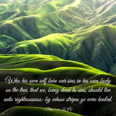 Picture 03 - 1 Peter 2:24 KJV - Who his own self bare our sins in his own body on - Bible Verse Picture