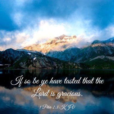 Picture 03 - 1 Peter 2:3 KJV - If so be ye have tasted that the Lord is - Bible Verse Picture