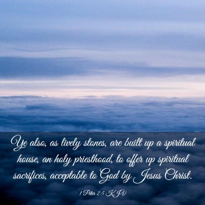 Picture 03 - 1 Peter 2:5 KJV - Ye also, as lively stones, are built up a - Bible Verse Picture