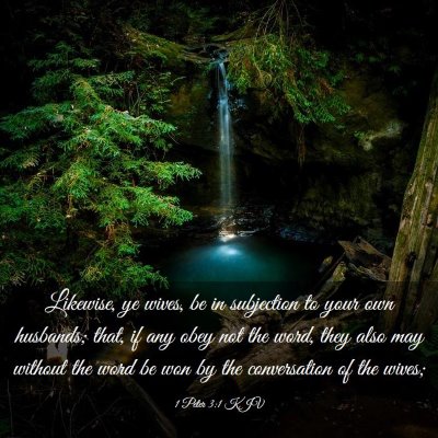Picture 03 - 1 Peter 3:1 KJV - Likewise, ye wives, be in subjection to your own - Bible Verse Picture