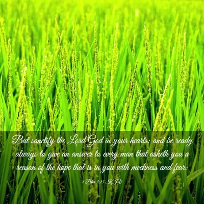 Picture 03 - 1 Peter 3:15 KJV - But sanctify the Lord God in your hearts: and be - Bible Verse Picture