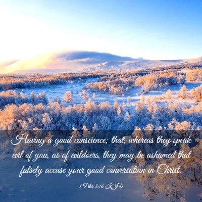 Picture 03 - 1 Peter 3:16 KJV - Having a good conscience; that, whereas they - Bible Verse Picture
