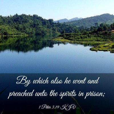 Picture 03 - 1 Peter 3:19 KJV - By which also he went and preached unto the - Bible Verse Picture