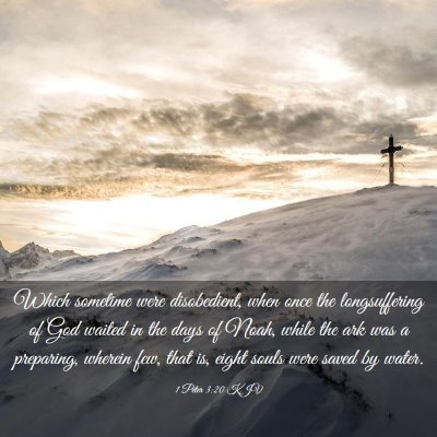 Picture 03 - 1 Peter 3:20 KJV - Which sometime were disobedient, when once the - Bible Verse Picture