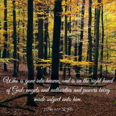 Picture 03 - 1 Peter 3:22 KJV - Who is gone into heaven, and is on the right hand - Bible Verse Picture