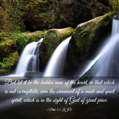 Picture 03 - 1 Peter 3:4 KJV - But let it be the hidden man of the heart, in - Bible Verse Picture