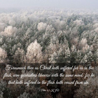 Picture 03 - 1 Peter 4:1 KJV - Forasmuch then as Christ hath suffered for us in - Bible Verse Picture