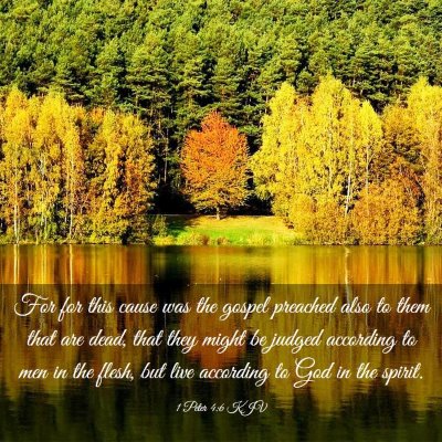 Picture 03 - 1 Peter 4:6 KJV - For for this cause was the gospel preached also - Bible Verse Picture