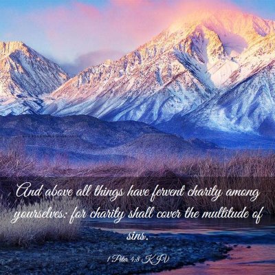 Picture 03 - 1 Peter 4:8 KJV - And above all things have fervent charity among - Bible Verse Picture