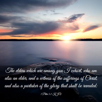 Picture 03 - 1 Peter 5:1 KJV - The elders which are among you I exhort, who am - Bible Verse Picture