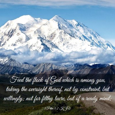 Picture 03 - 1 Peter 5:2 KJV - Feed the flock of God which is among you, taking - Bible Verse Picture