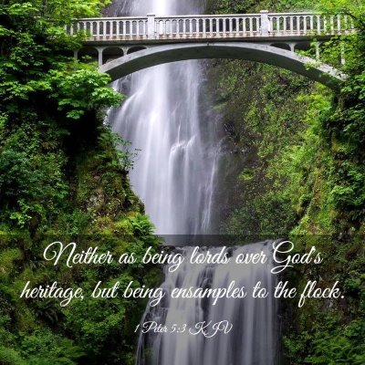 Picture 03 - 1 Peter 5:3 KJV - Neither as being lords over God's heritage, but - Bible Verse Picture