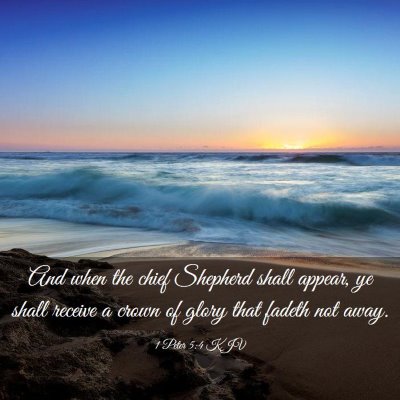 Picture 03 - 1 Peter 5:4 KJV - And when the chief Shepherd shall appear, ye - Bible Verse Picture
