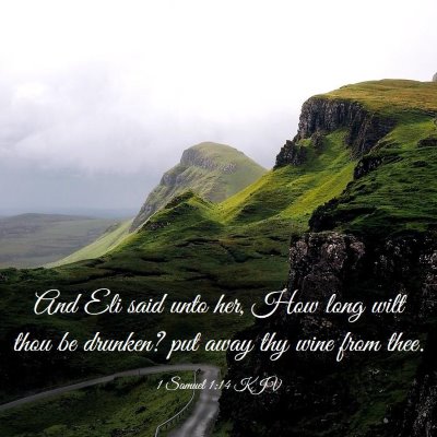 Picture 03 - 1 Samuel 1:14 KJV - And Eli said unto her, How long wilt thou be - Bible Verse Picture