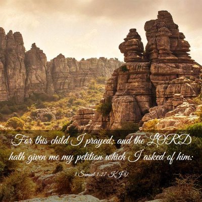 Picture 03 - 1 Samuel 1:27 KJV - For this child I prayed; and the LORD hath given - Bible Verse Picture