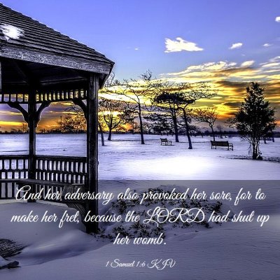 Picture 03 - 1 Samuel 1:6 KJV - And her adversary also provoked her sore, for to - Bible Verse Picture