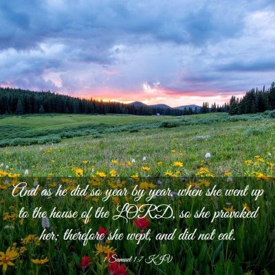 Picture 03 - 1 Samuel 1:7 KJV - And as he did so year by year, when she went up - Bible Verse Picture