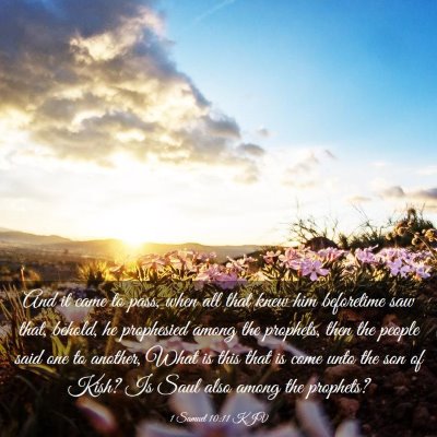 Picture 03 - 1 Samuel 10:11 KJV - And it came to pass, when all that knew him - Bible Verse Picture