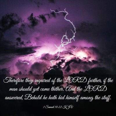 Picture 03 - 1 Samuel 10:22 KJV - Therefore they inquired of the LORD further, if - Bible Verse Picture
