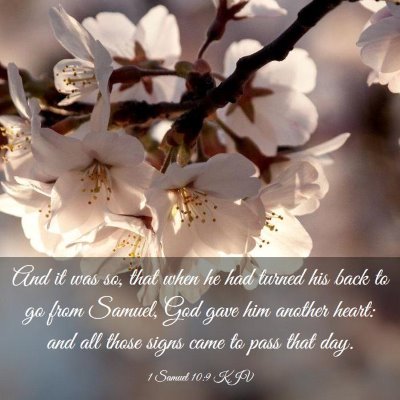 Picture 03 - 1 Samuel 10:9 KJV - And it was so, that when he had turned his back - Bible Verse Picture