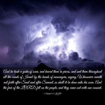 Picture 03 - 1 Samuel 11:7 KJV - And he took a yoke of oxen, and hewed them in - Bible Verse Picture