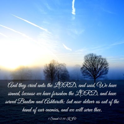 Picture 03 - 1 Samuel 12:10 KJV - And they cried unto the LORD, and said, We have - Bible Verse Picture