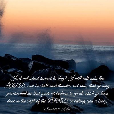 Picture 03 - 1 Samuel 12:17 KJV - Is it not wheat harvest to day? I will call unto - Bible Verse Picture